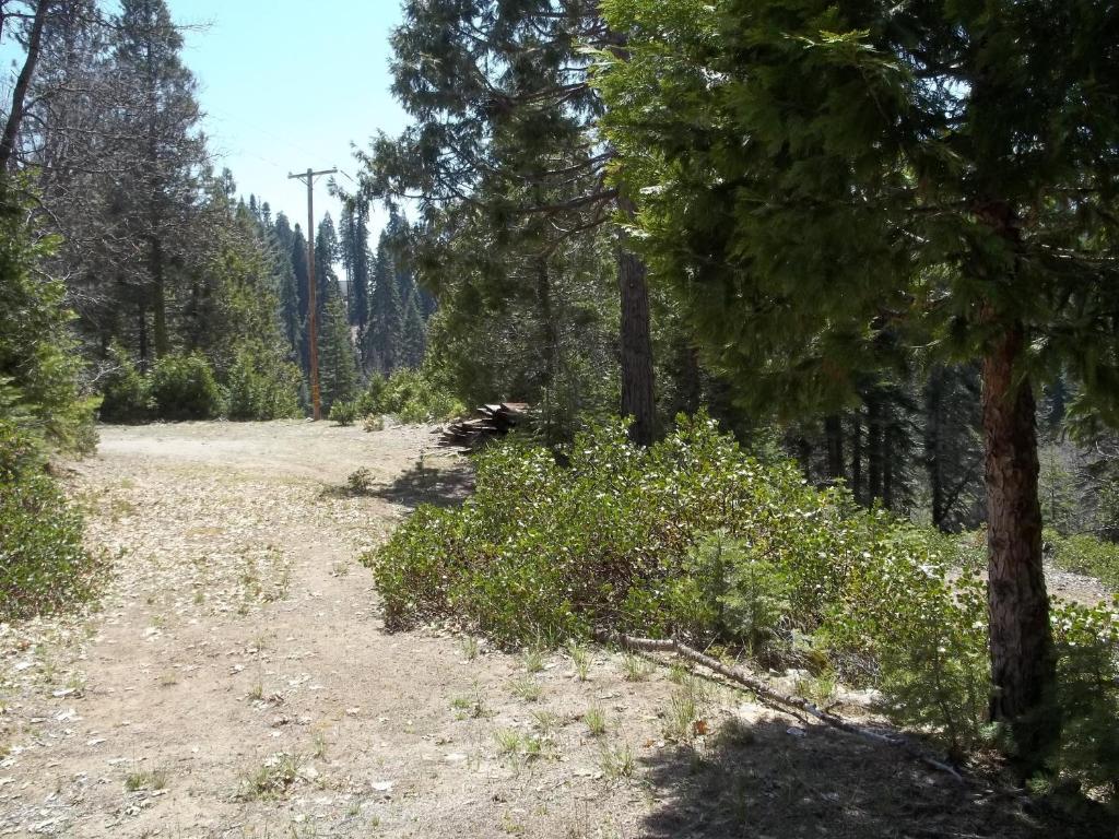 White Chief Mountain Lodge Fish Camp Exterior foto